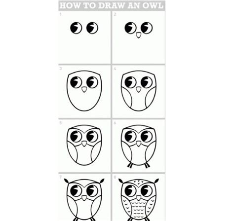 Video : How to Draw an Owl, For Kids | Local Santa Cruz