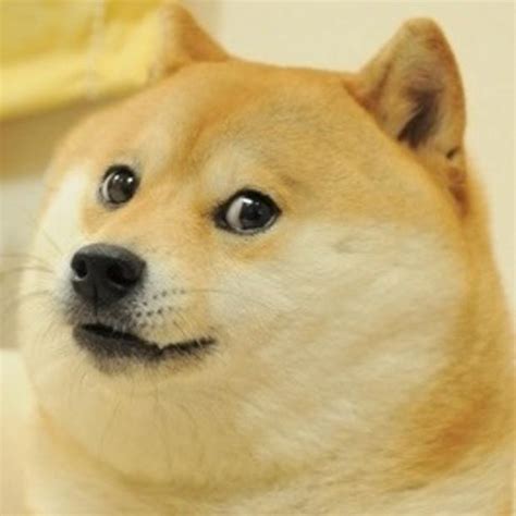 Doge Memes - Imgflip