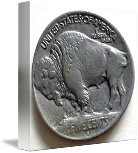 Buffalo Nickel by Michael Mitchell