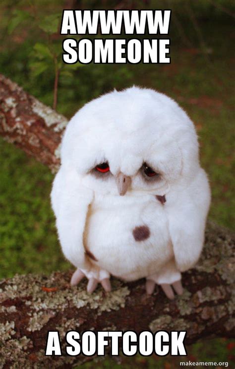 awwww someone a softcock - Sad Owl | Make a Meme