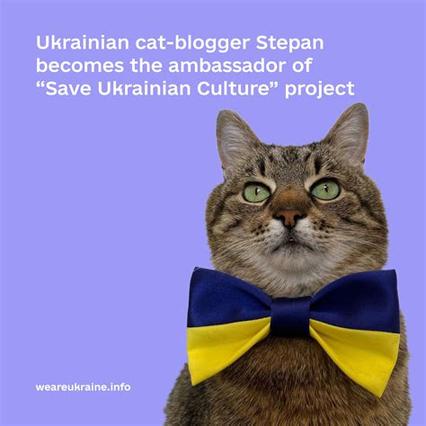 Ukrainian cat-blogger Stepan becomes the ambassador of “Save Ukrainian ...