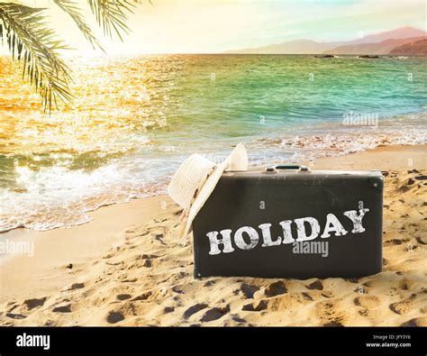 Suitcase in a tropical beach with holiday writing Stock Photo - Alamy