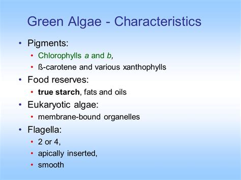 Green Algae | Definition and Classification