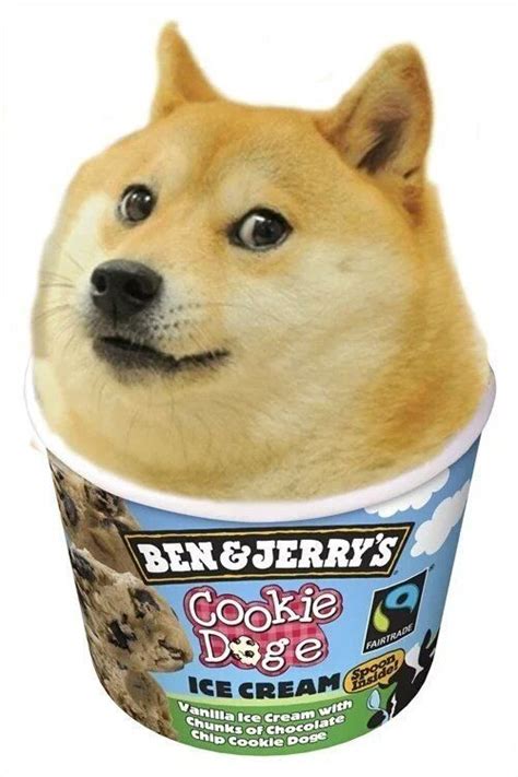 25+ bästa Doge idéerna på Pinterest | Djurskämt och Shiba inu