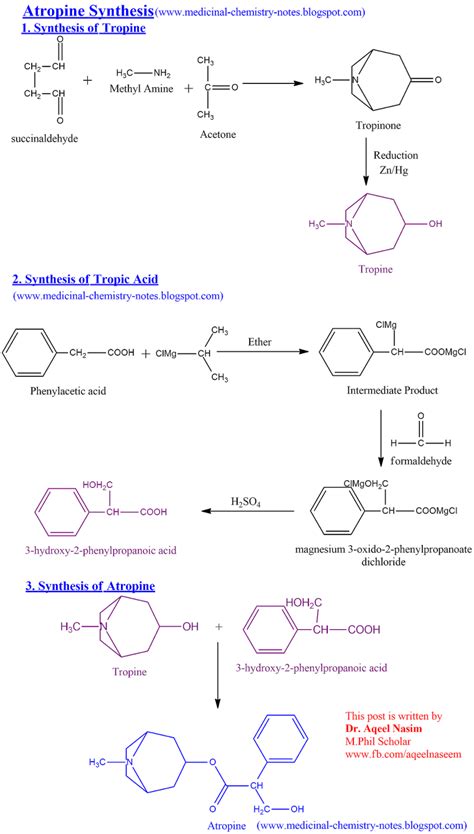 Synthesis of Atropine - Medicinal Chemistry Lectures Notes