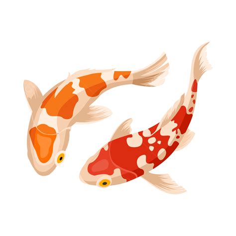 Koi Fish PNG Images Transparent Free Download PNGMart