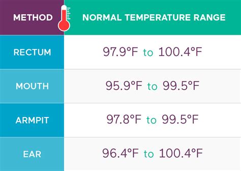 What Is A Normal Temperature For A Baby Rectal - Baby Viewer