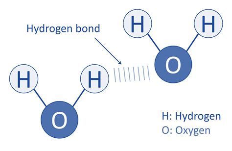 [DIAGRAM] Labeled Diagram Of Hydrogen Bonding - MYDIAGRAM.ONLINE