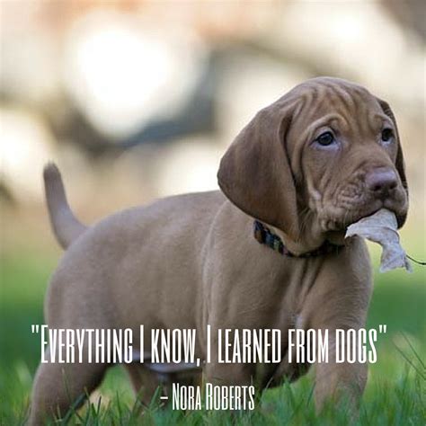 Dog Quotes — We Rounded up the Best of the Best