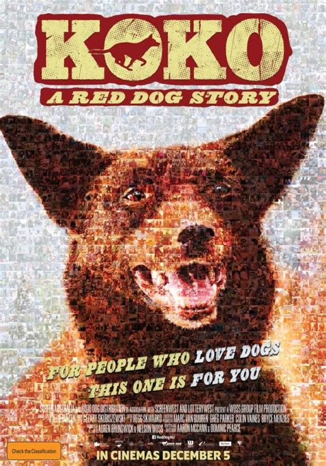 KOKO A RED DOG STORY | Australian Classification