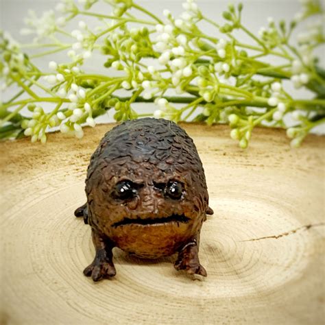 African Rain Frog Figurine Angry Avocado Grumpy Toad One of - Etsy ...