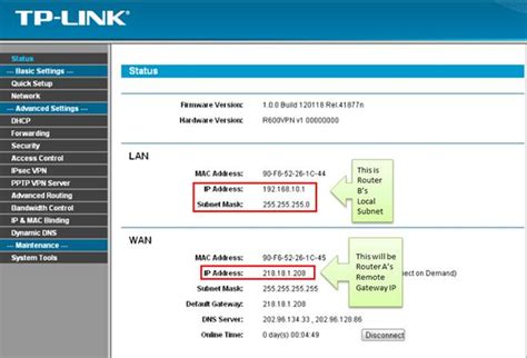 Sospettare arbitro torrente vpn router tp link manipolare Artigiano Riccio