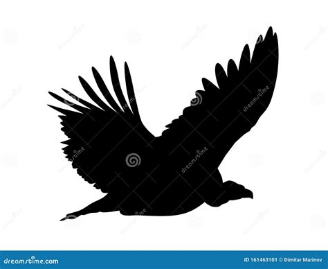 Griffon vulture stock vector. Illustration of beak, griffon - 161463101