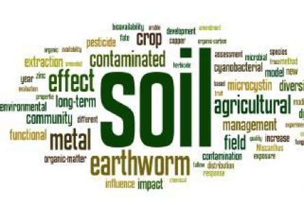 Ecotoxicology - SCITESLA