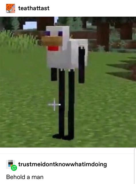 Best minecraft meme skins - gasmdirty