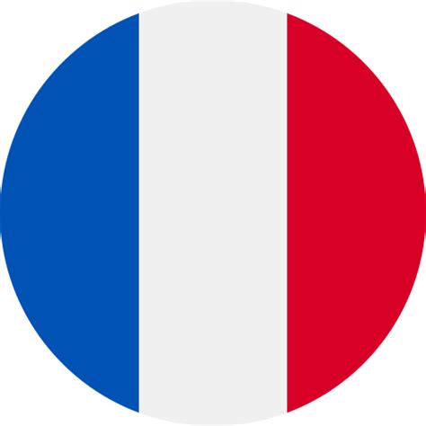 France - Free flags icons