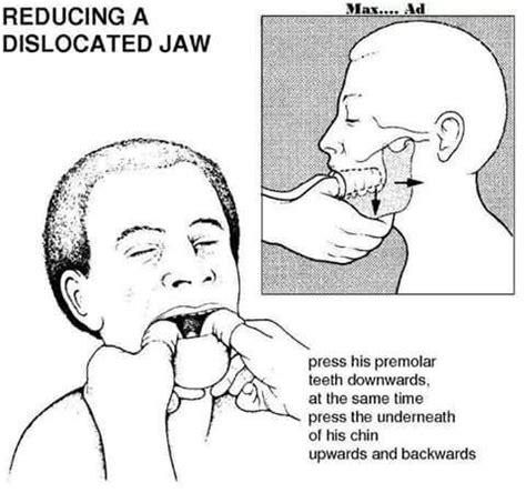 Pin by Jane on Dental Hygiene | Dental hygiene school, Medical therapy ...