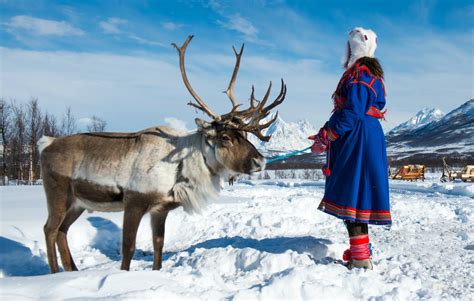 The Sami Reindeer Herders of Lapland