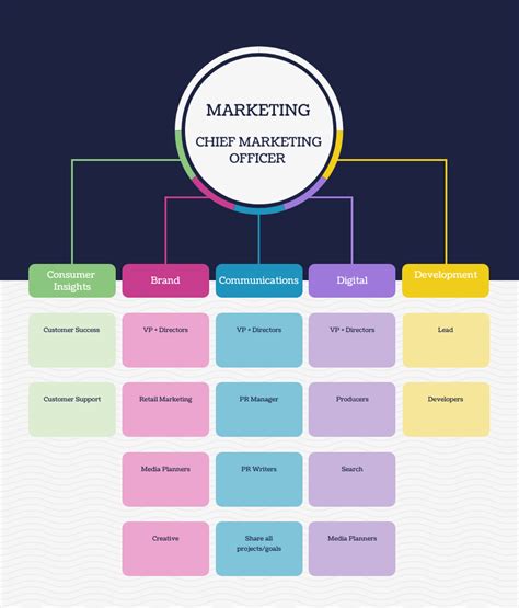 Organizational Chart: Definition, Examples & Templates - Venngage