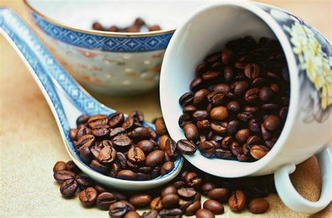 15 Best Beans for Coffee – The Best Coffee Beans of 2023 - Try New Coffee