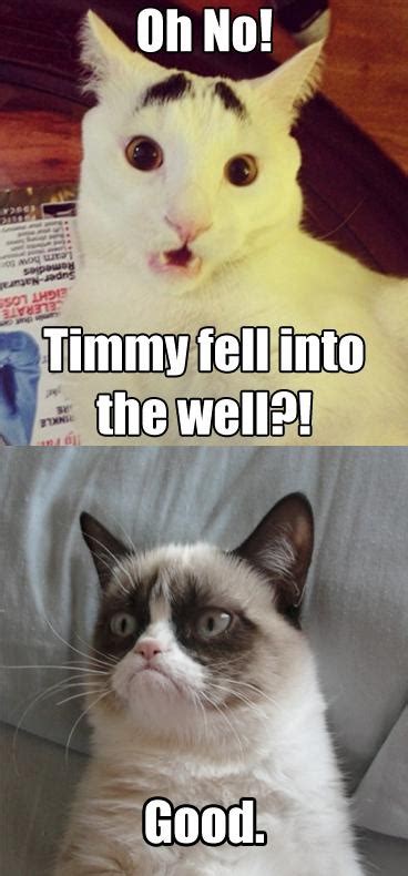 Funny Grumpy Cat Quotes Pictures Worth Sharing! Pets World | Grumpy Cat ...