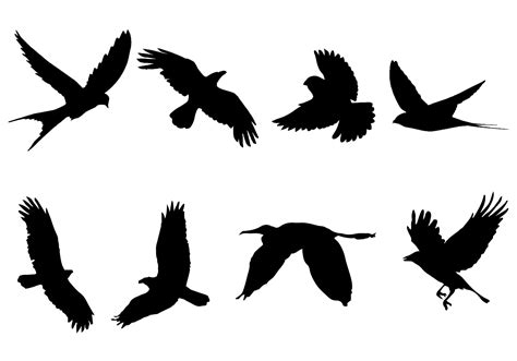 Flying Bird Silhouette Vector - Download Free Vector Art, Stock ...