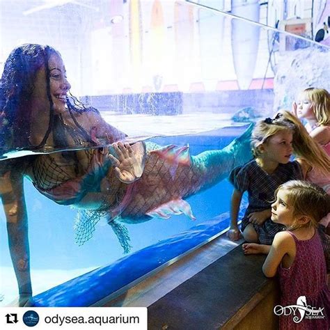 At OdySea in the Desert, there are Attractions - OdySea Aquarium ...