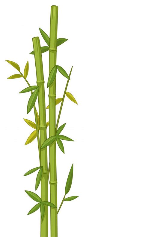 Bamboo vector illustration Premium Vecto... | Premium Vector #Freepik # ...