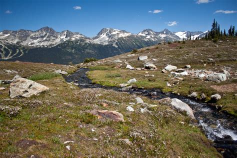 Whistler Alpine Hikes - High Note Trail | Vancouver Trails