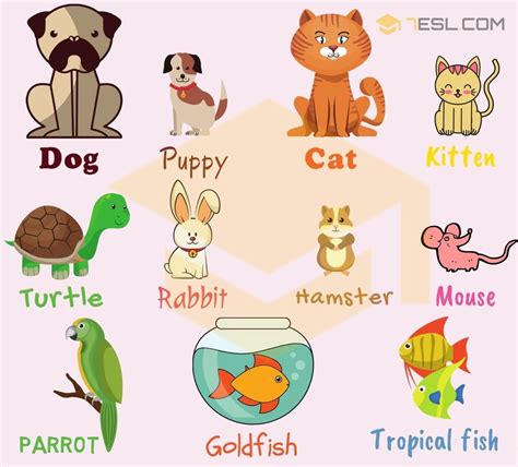 Pet Animals List And Their Uses