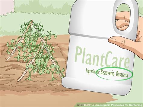 3 Ways to Use Organic Pesticides for Gardening - wikiHow