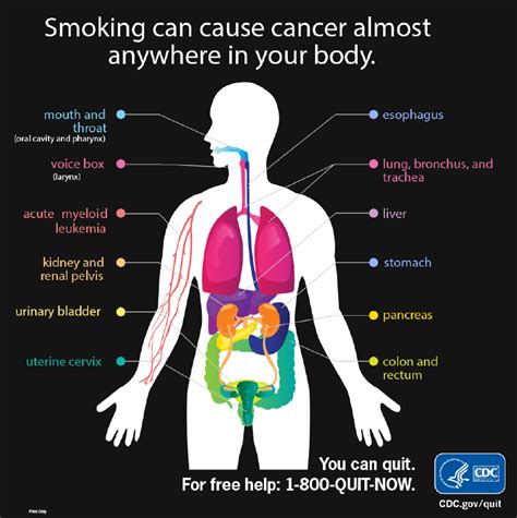 Tobacco Products - Wyoming Department of Health