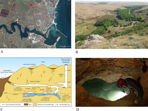 Location of Movile Cave near Mangalia (south eastern Romania). (A ...