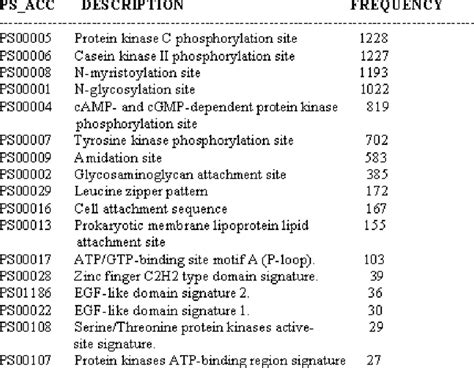 Most frequently occurring motifs in a protein–protein interaction ...