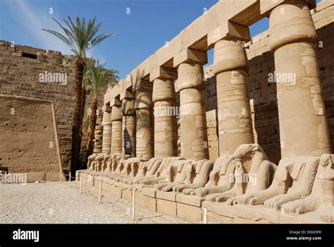 Aries statues, Temple of Amun-Re, Karnak Temple, Luxor, Nile Valley ...