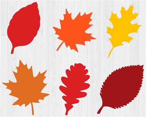 Fall Leaves Svg Bundle, Printable, Fall Svg, Thanksgiving Svg, Autumn ...