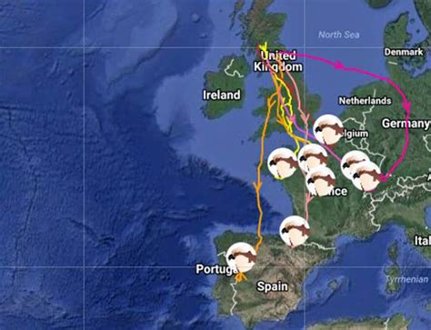 Caerlaverock Osprey Chicks on the move - Caerlaverock Community Association