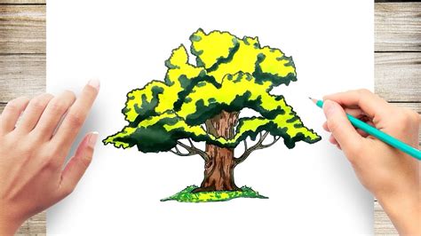 Top 130+ oak tree drawing best - seven.edu.vn