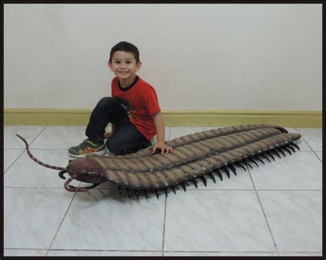 Giant Prehistoric Centipede