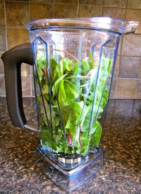 Beauty, Bites & Adorations: Vitamix Blender - Recipe for the Ultimate ...