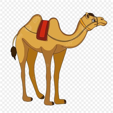 Desert Camel PNG Picture, Desert Animal Camel Clip Art, Animal, Camel ...