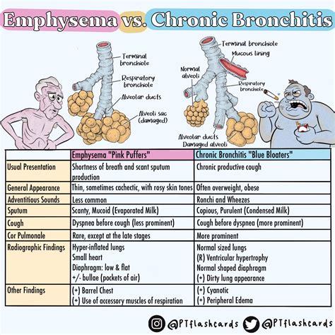 COPD: Emphysema vs. Chronic Bronchitis Nursing School Info, Nursing ...