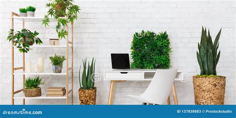 Office Place with Various Plants on the Bookshelf Stock Image - Image ...