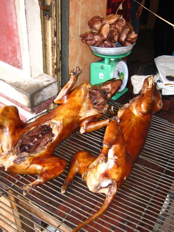 Perspectives on Dog Meat Consumption in Parts of China | Online News Club