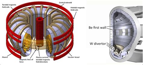 (Left) Schematic of a tokamak fusion reactor [4]. (Right) Cross section ...