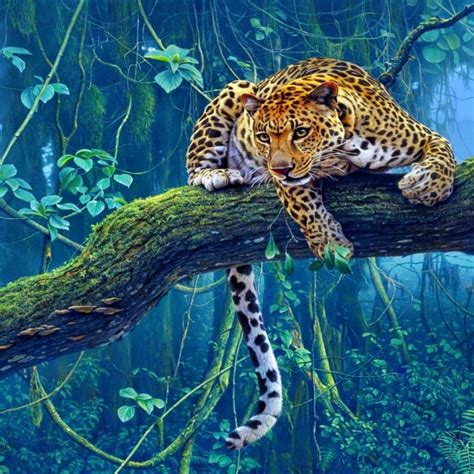 Jungle Animals Wallpapers - Wallpaper Cave