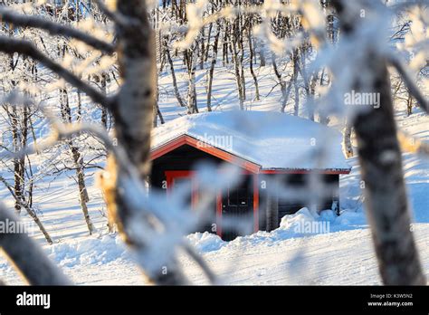 Small isolated house in swedish forests bjorkliden hi-res stock ...