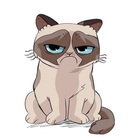 Grumpy Cat Line Drawing - Grumpy Cat Cartoon Drawing At Getdrawings ...