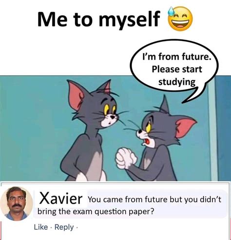 60+ Xavier Comment Memes That We Can Relate - Funny Memes