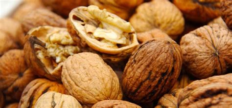 Walnut Health Benefits - The Cancer Reducing Nut